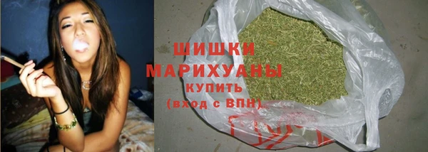 ECSTASY Михайлов