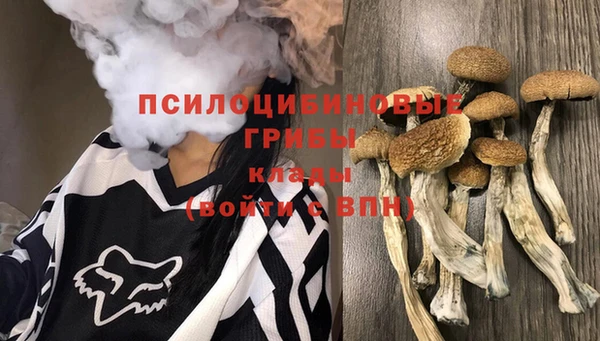 MDMA Premium VHQ Михайловка