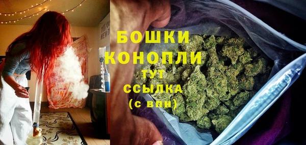ECSTASY Михайлов