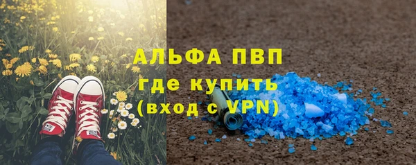 гидра Михайловск