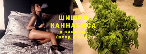 ECSTASY Михайлов