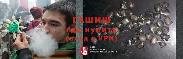 гидра Михайловск