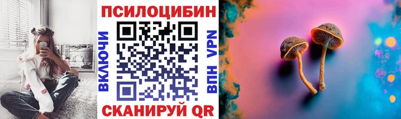 Псилоцибиновые грибы мухоморы  Купить закладки  Карачаевск 